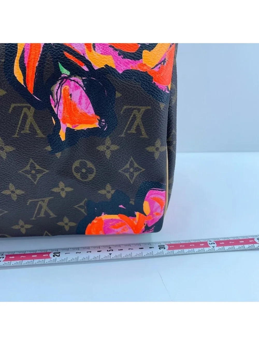 Louis Vuitton Handbag Speedy 30